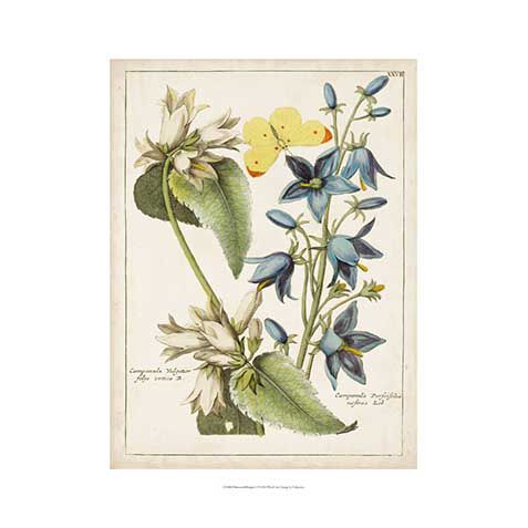 Botanical Bouquet I image