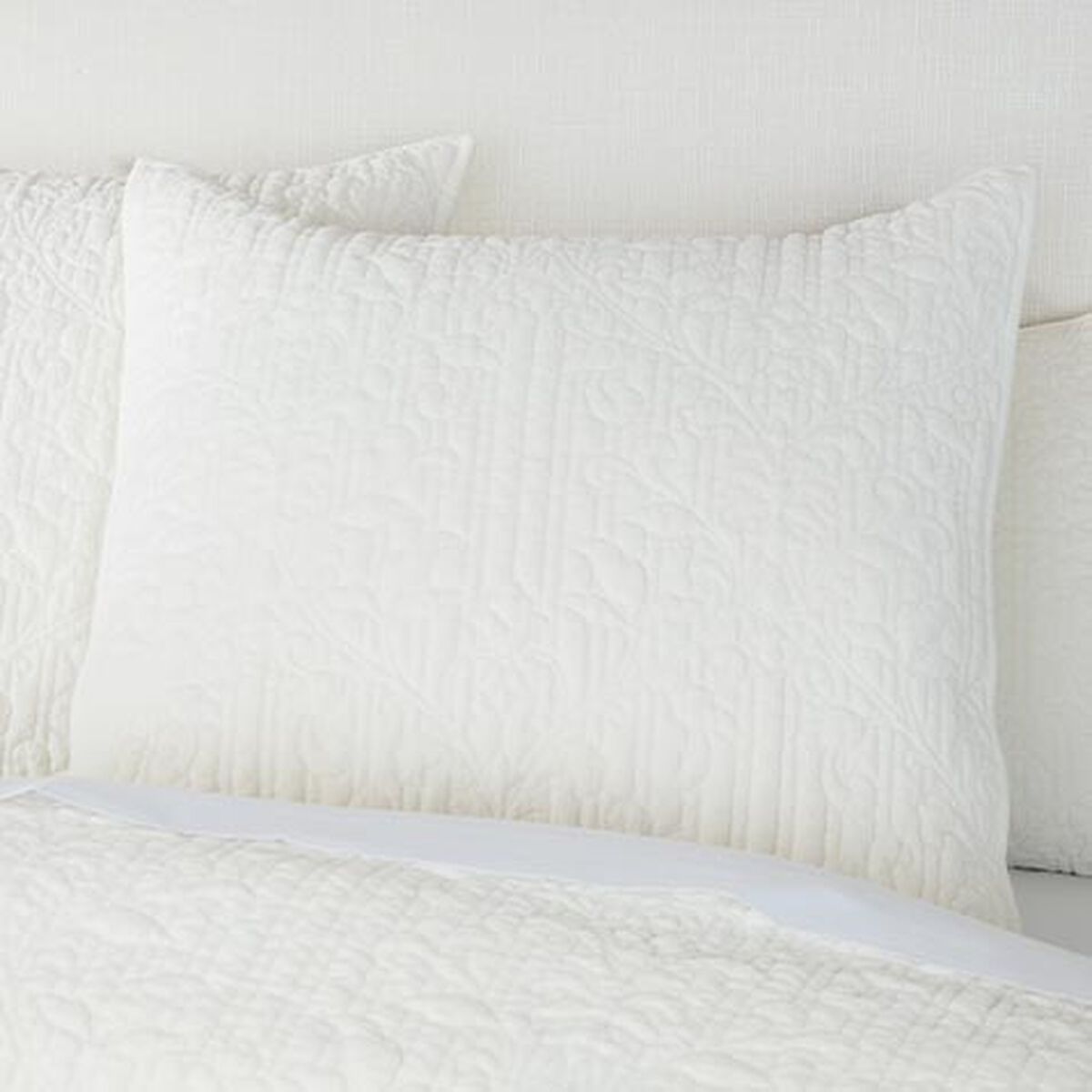 Garment-Dyed Velvet Euro Shams, Ivory (set of 2)