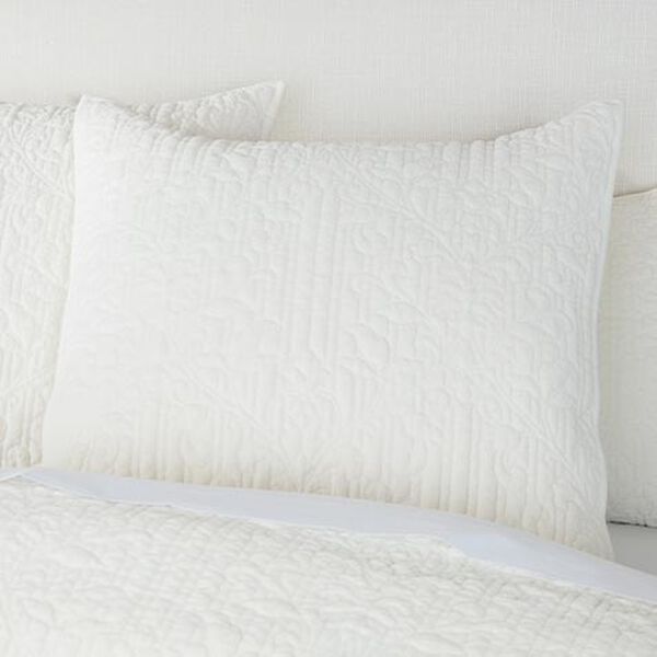 Garment-Dyed Velvet Euro Shams, Ivory (set of 2)