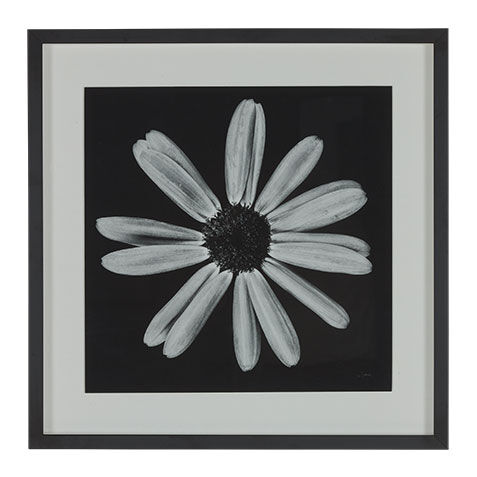 Black Botanical III image