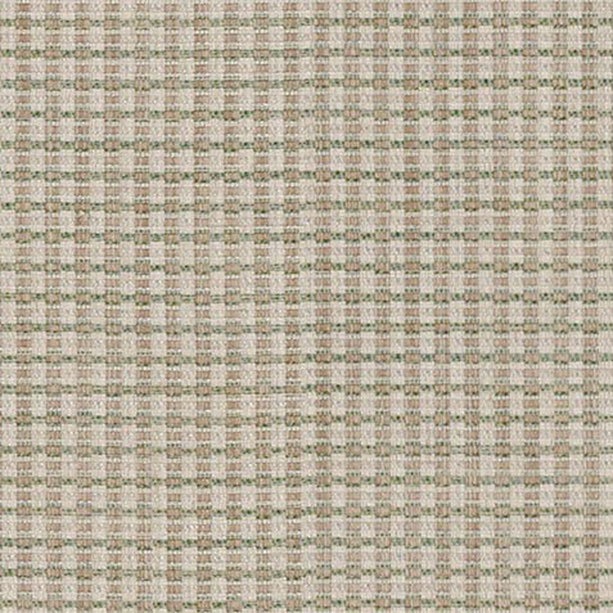 Camille Fabric