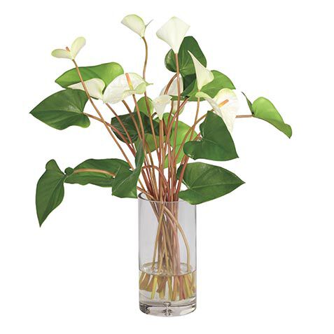 Tropical Anthurium Bouquet in Glass Vase image