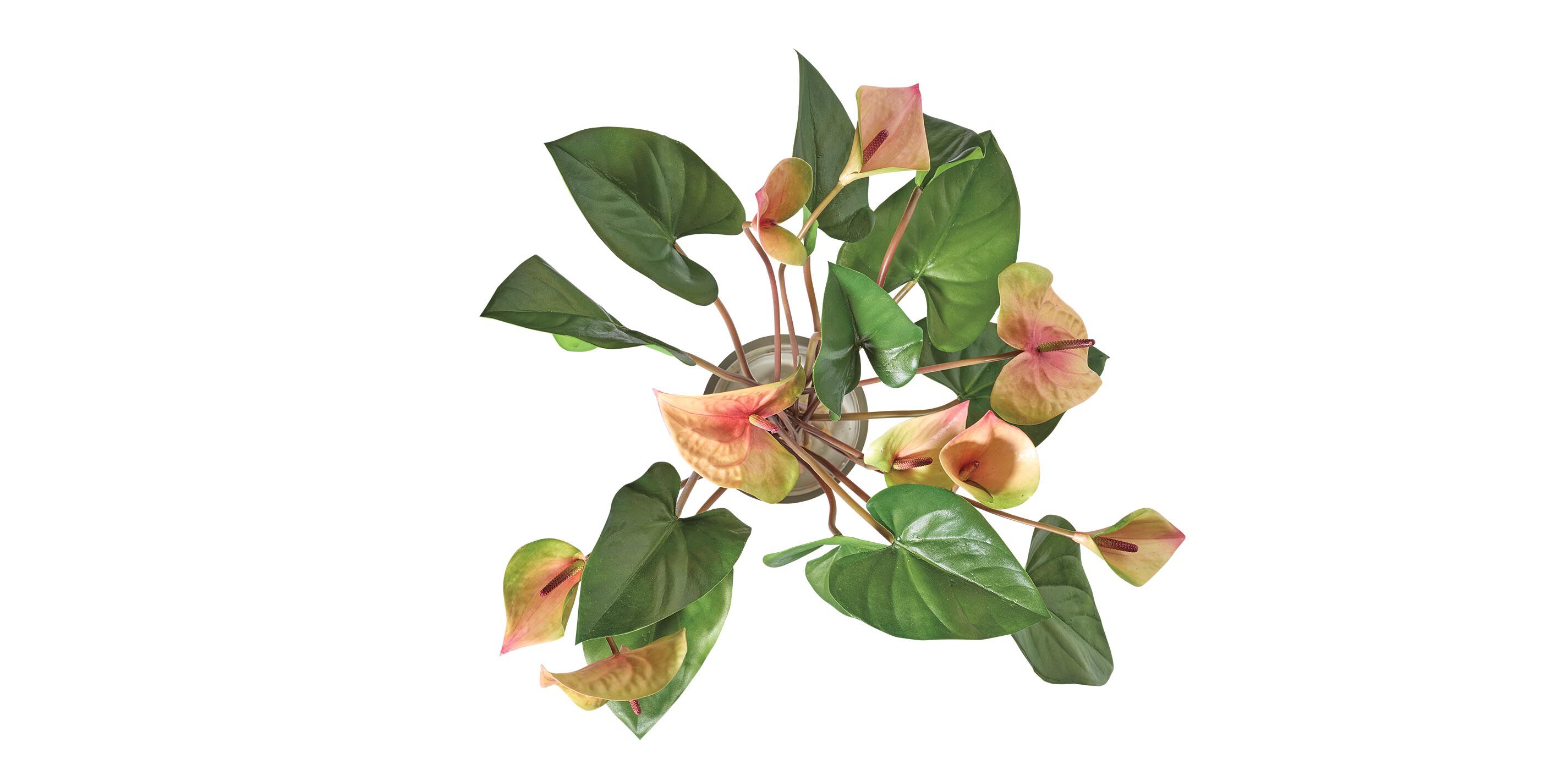 Tropical Anthurium Bouquet in Glass Vase_3