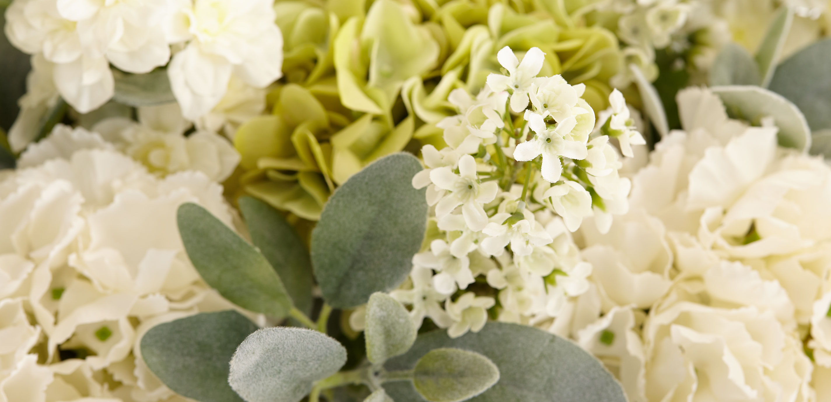 Hydrangea Byzantina in Cache Pot_3