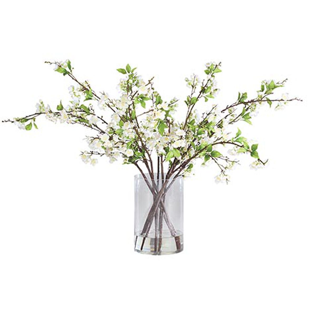 White Plum Blossom Arrangement in Tall Vase