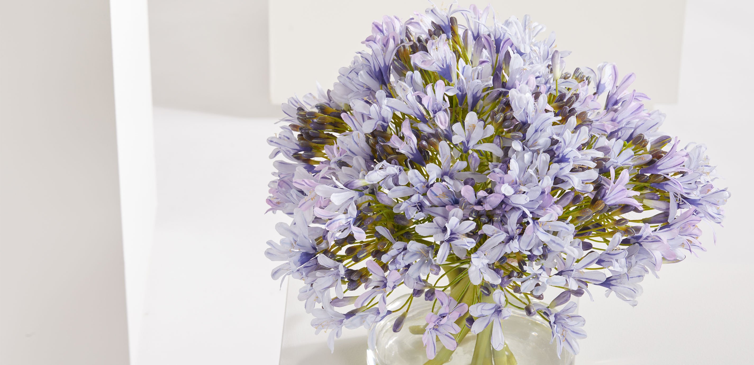 Blue Agapanthus Bouquet in Cylinder Vase_7