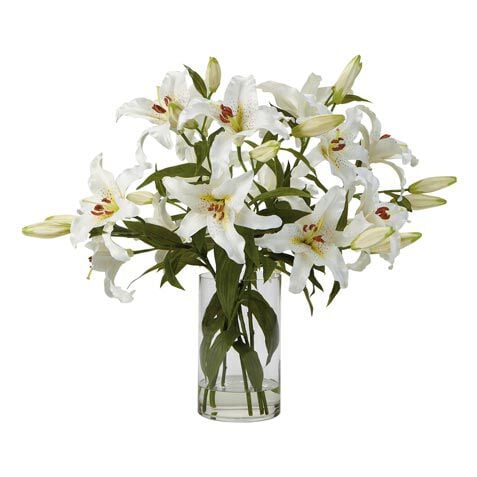 Casablanca Lily Watergarden image