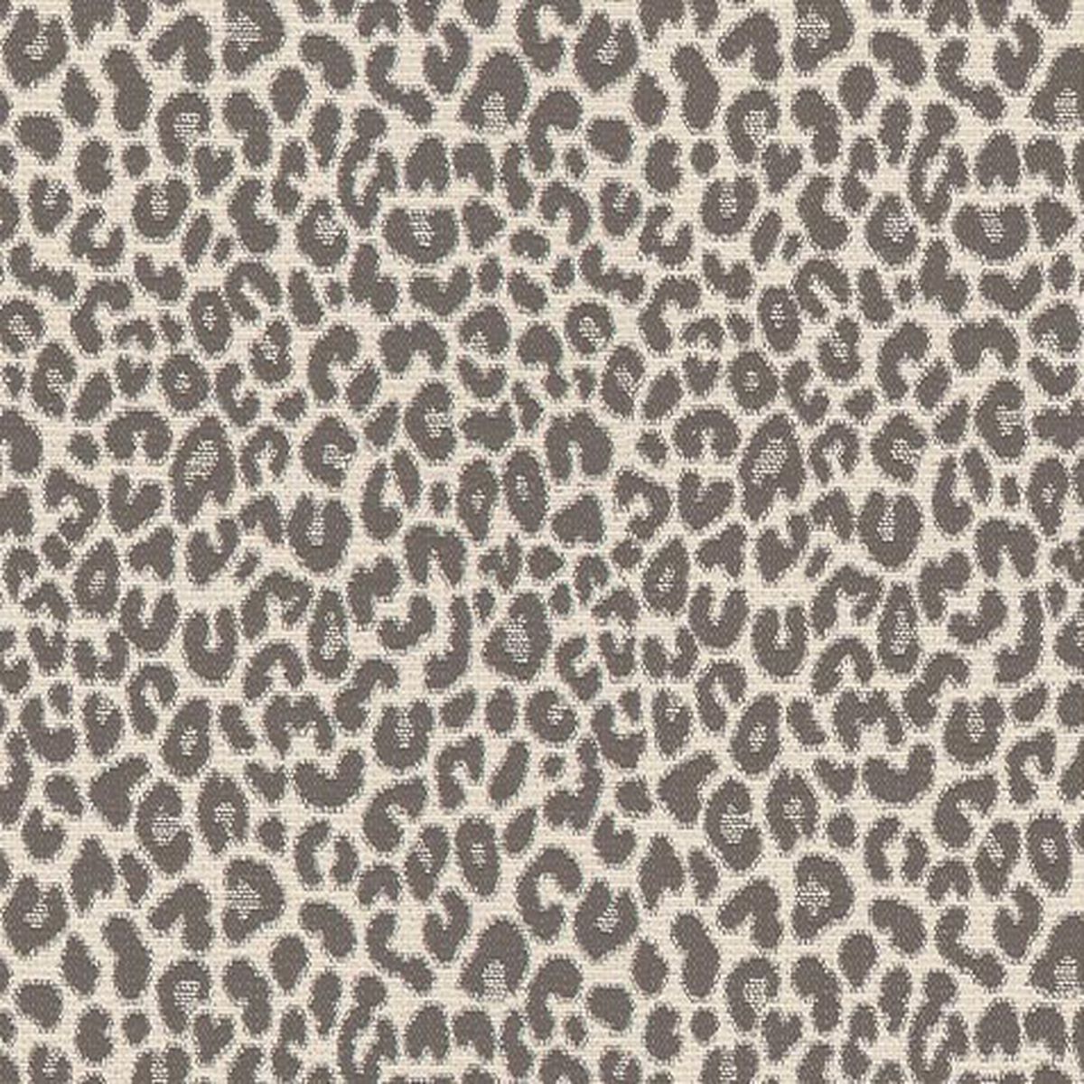 Rojo Fabric