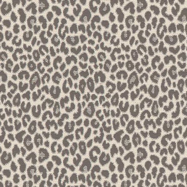 Rojo Fabric