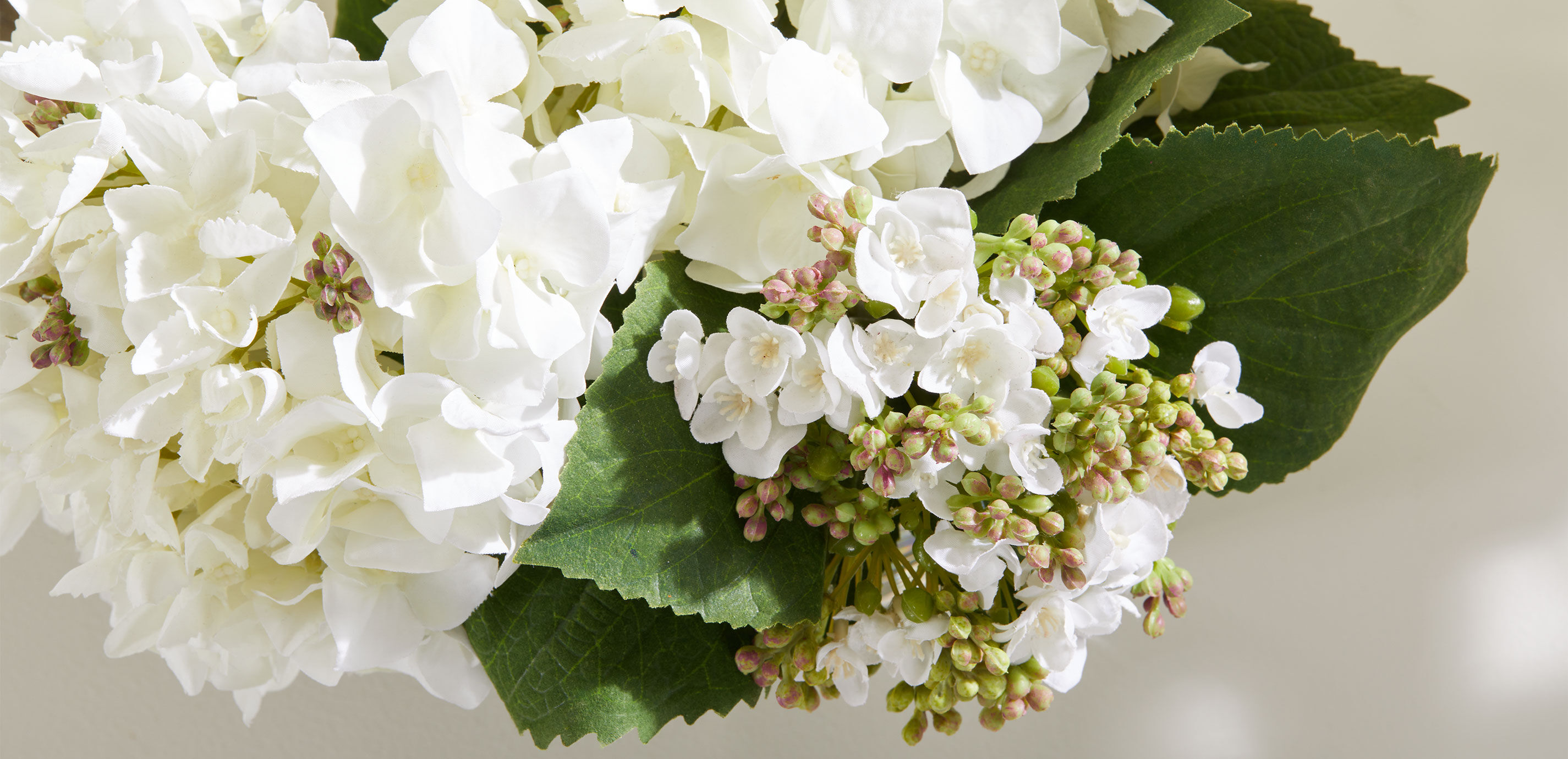 Hydrangea and Buds in Small Glass Vase_4