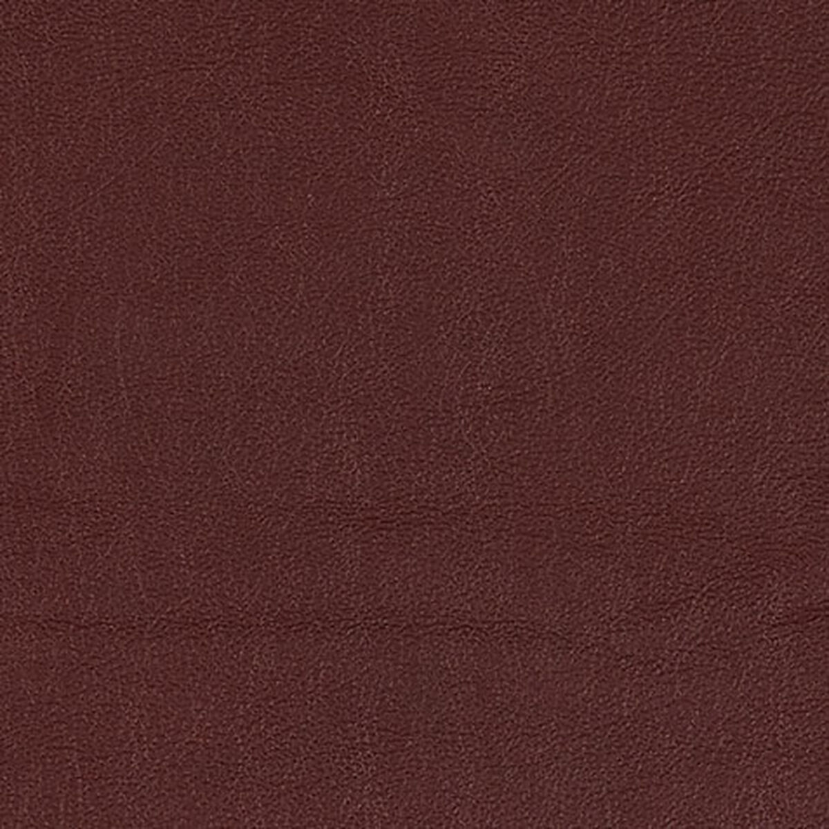 Lazaro Leather