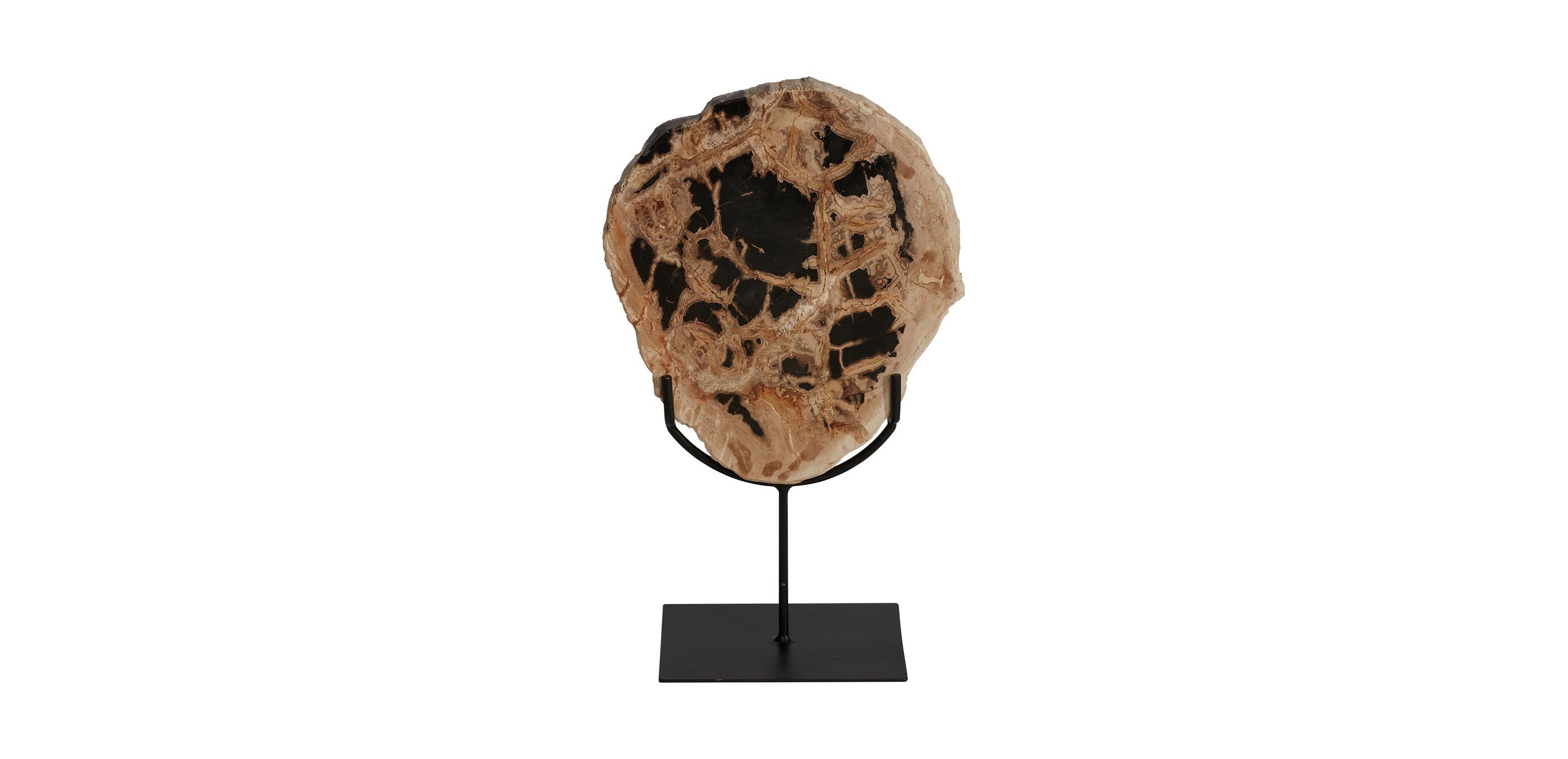 Petrified Wood on Stand_3