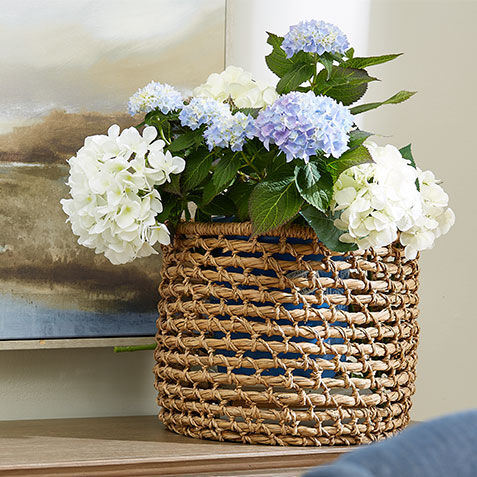 Hand-woven Flo Basket Product Tile Hover Image 430508