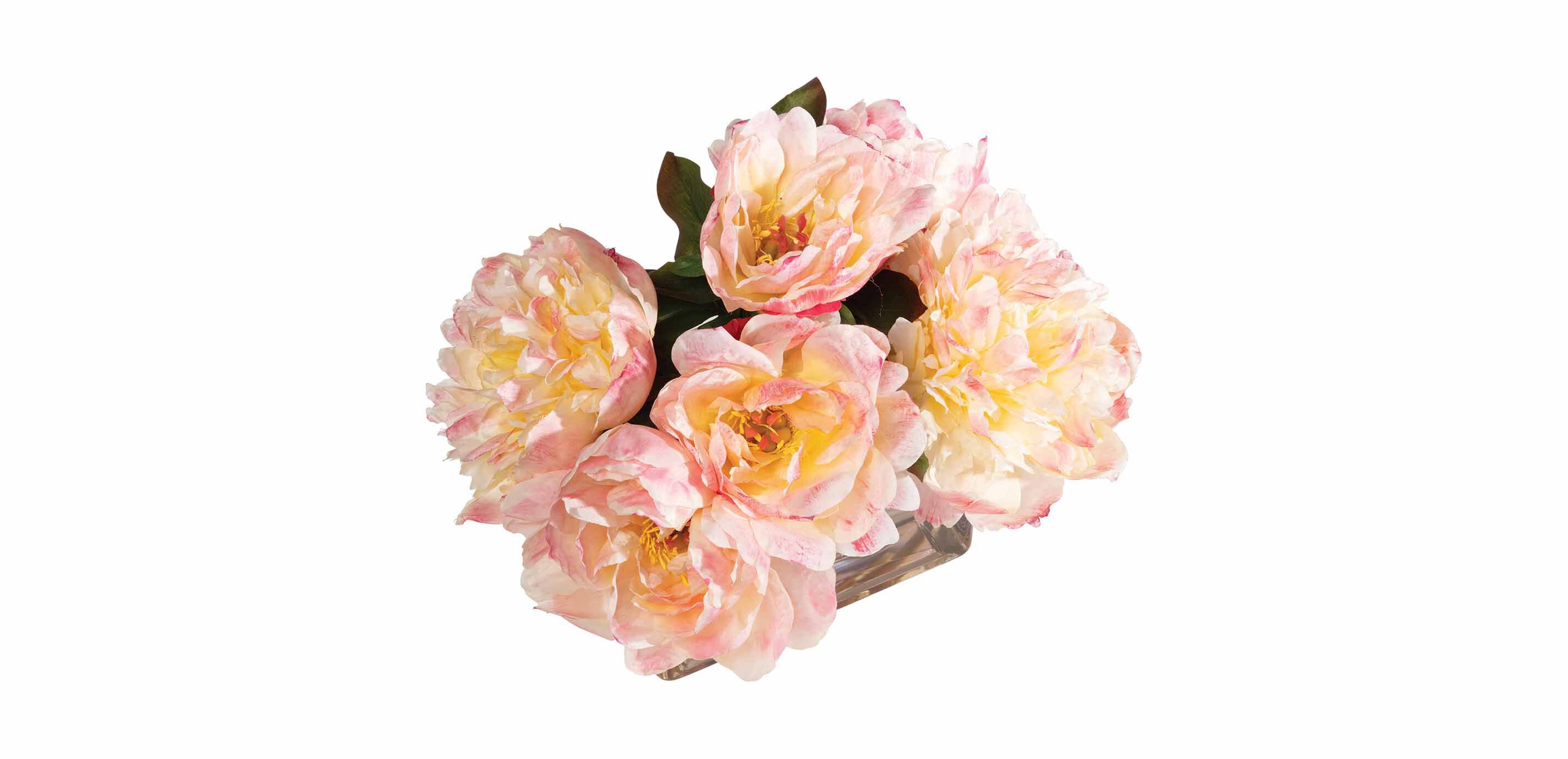 Peach Peonies in Rectangular Glass Vase_1