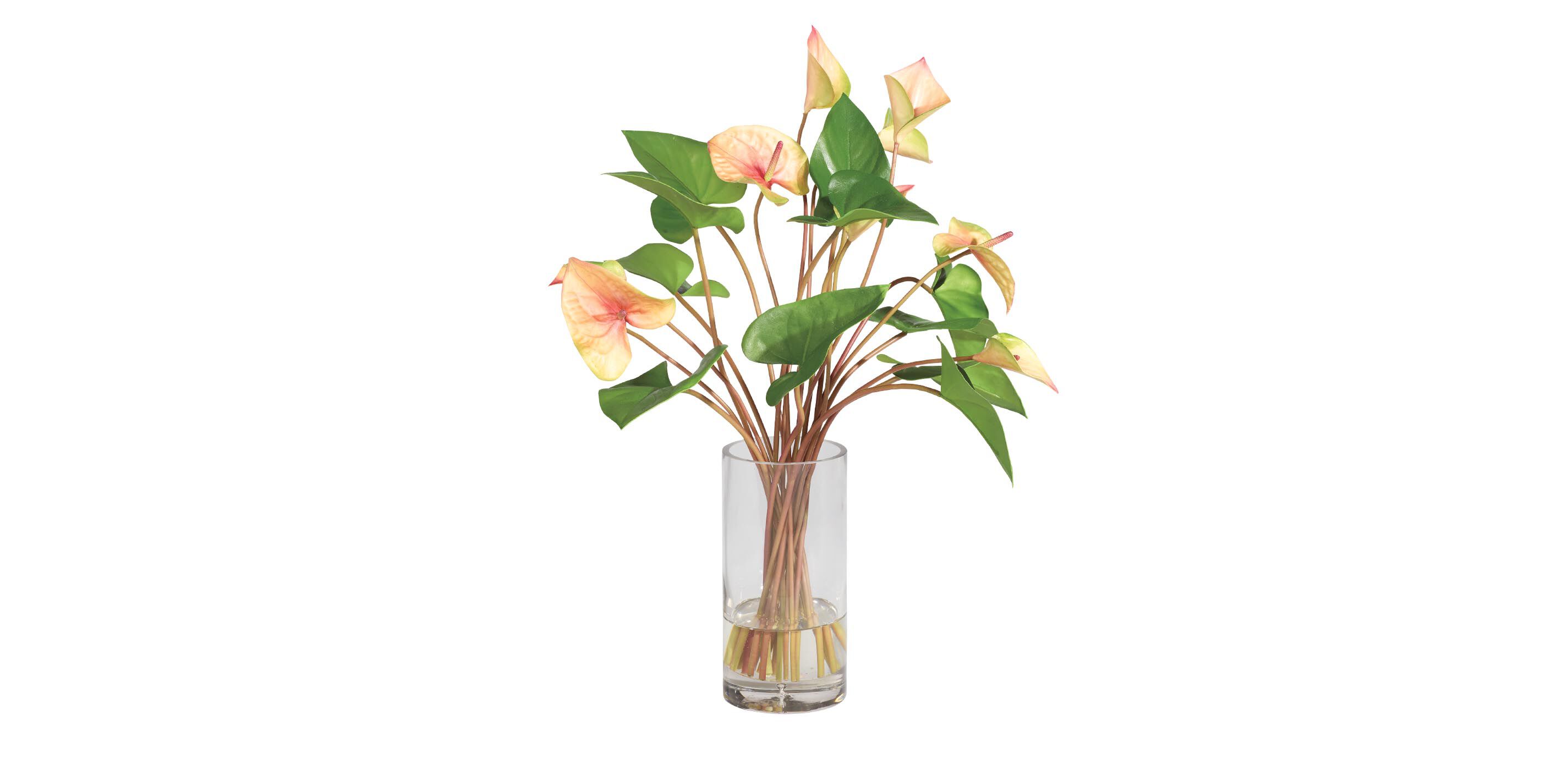Tropical Anthurium Bouquet in Glass Vase_1