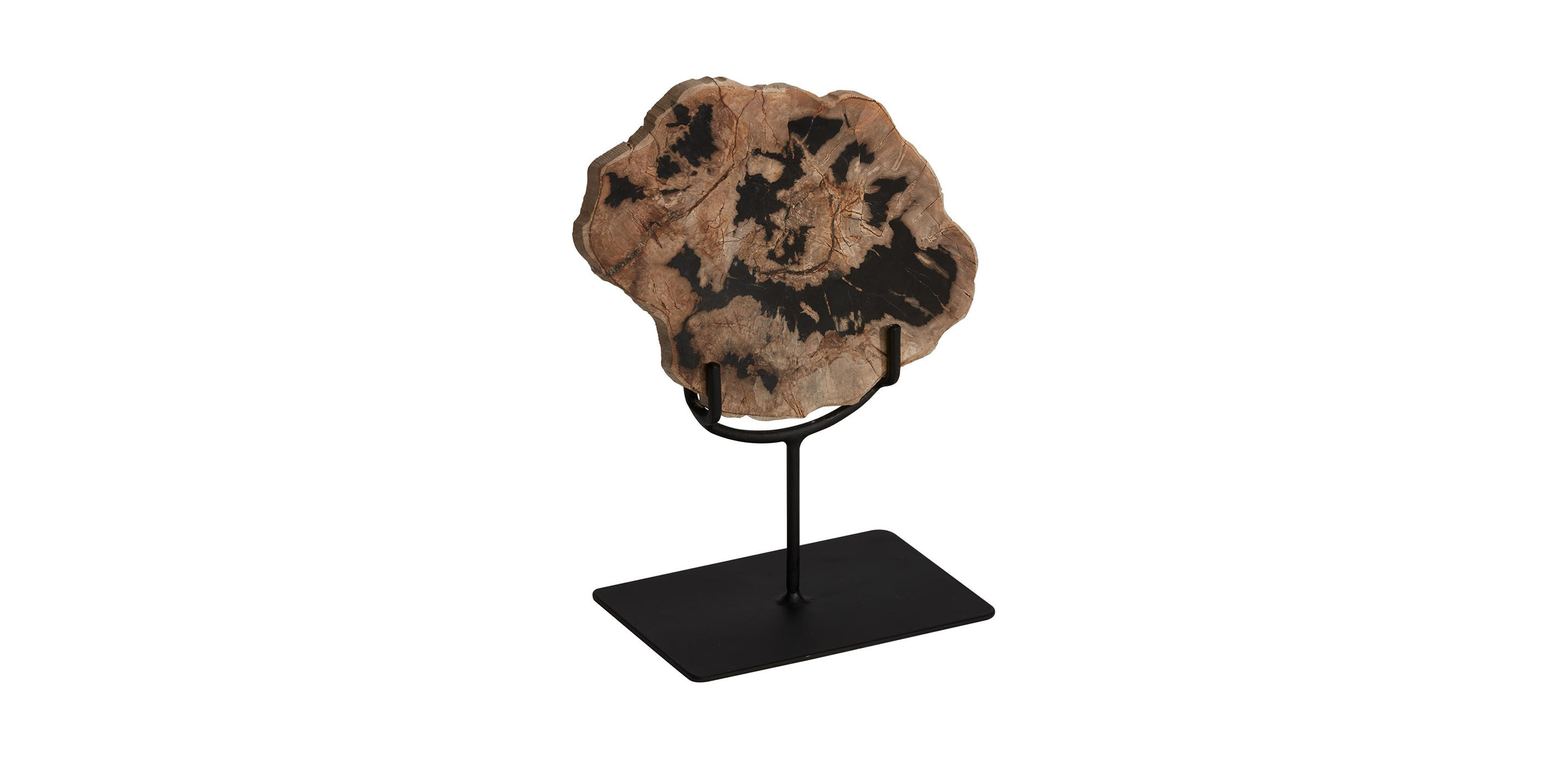 Petrified Wood on Stand_1