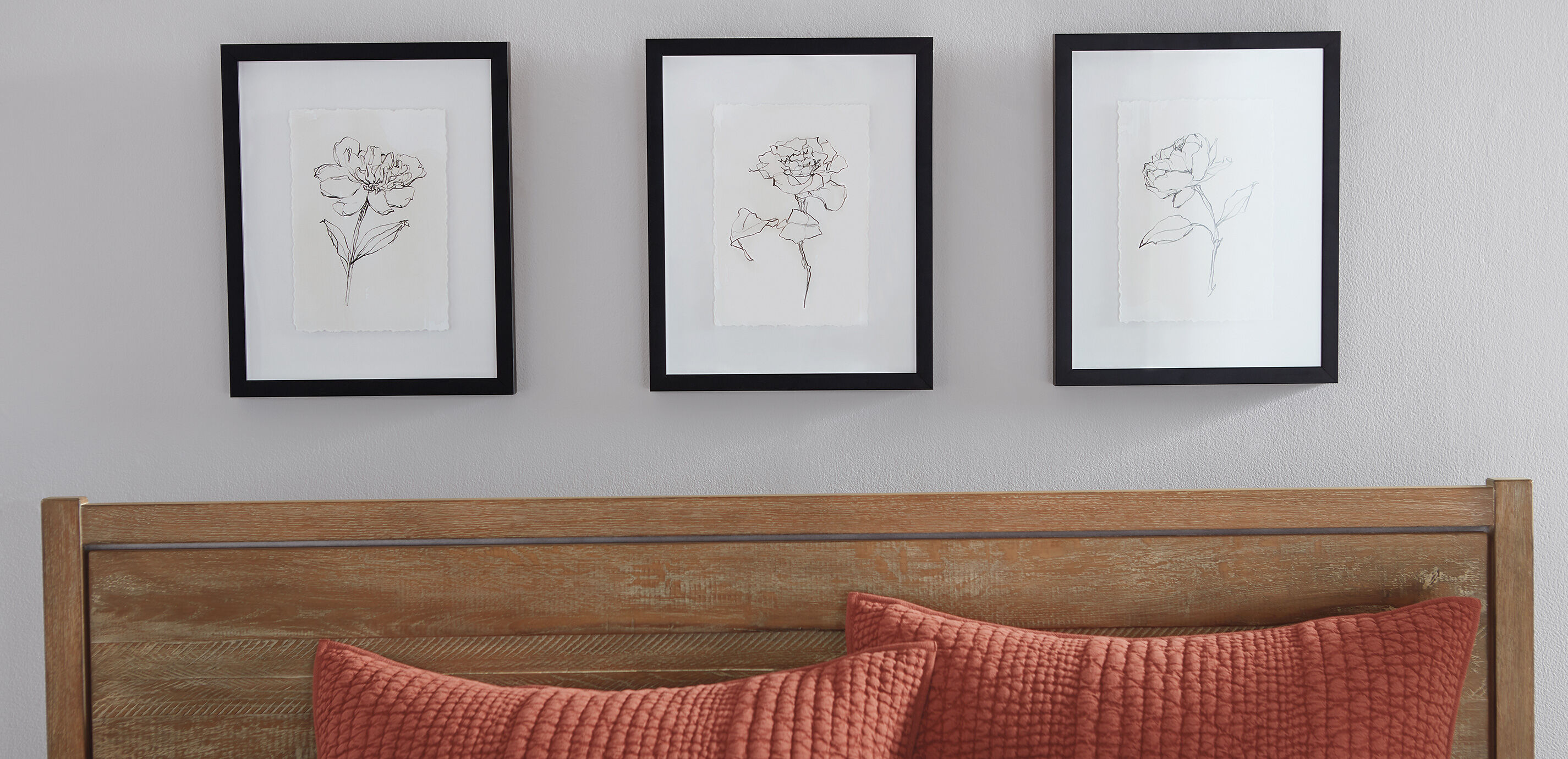 Floral Contour Study III_4