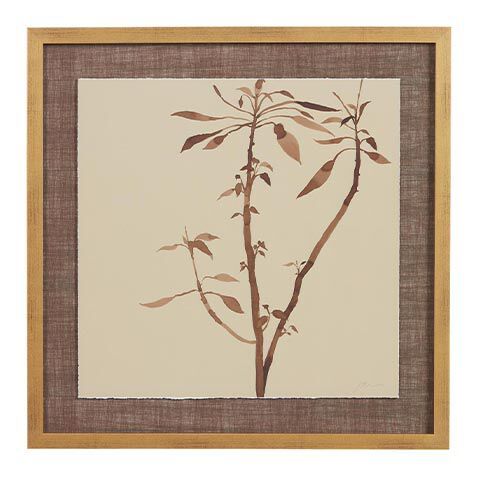 Soft Wild Flowers image