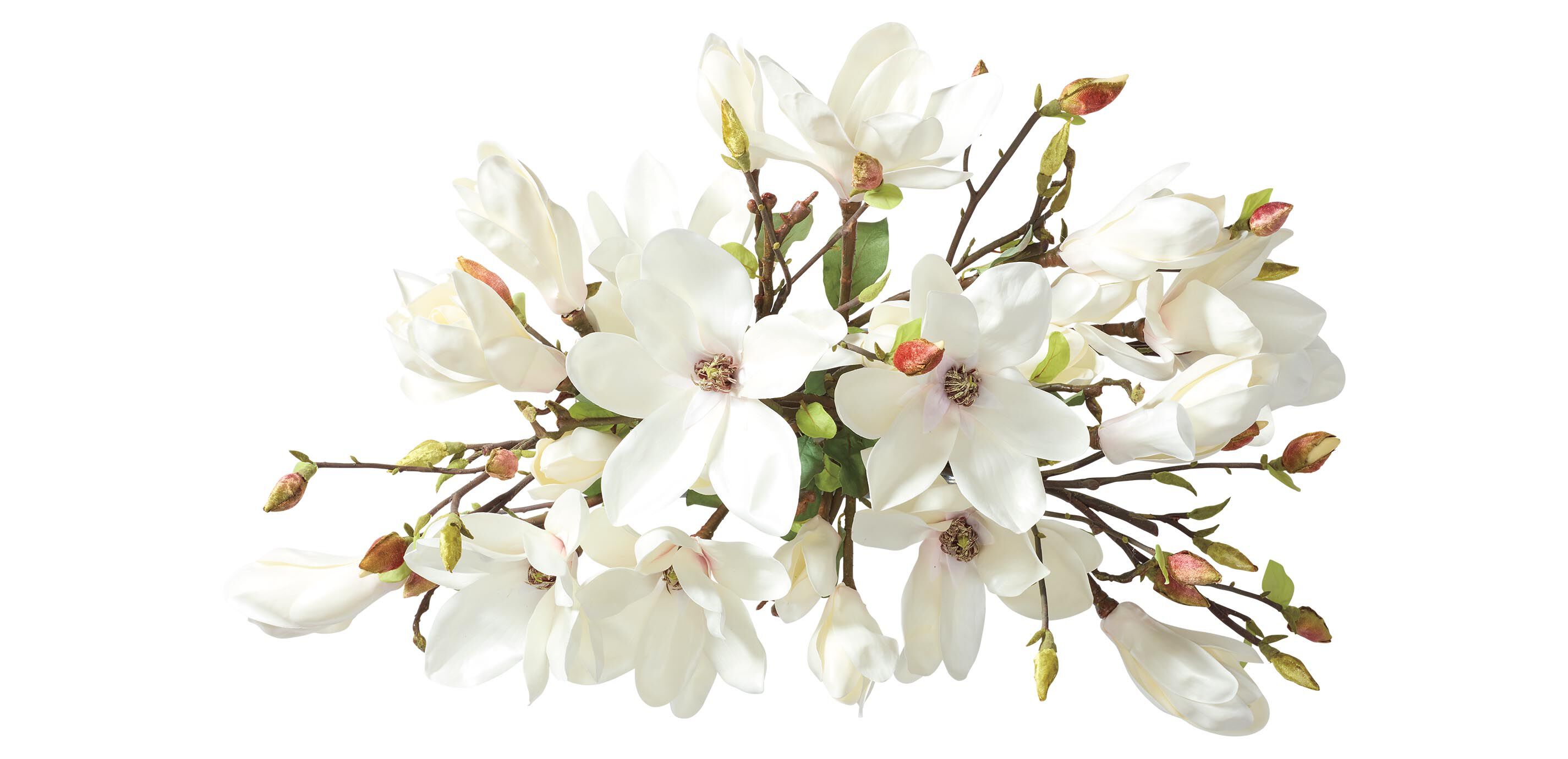 Magnolia Centerpiece in Linear Glass Vase_3
