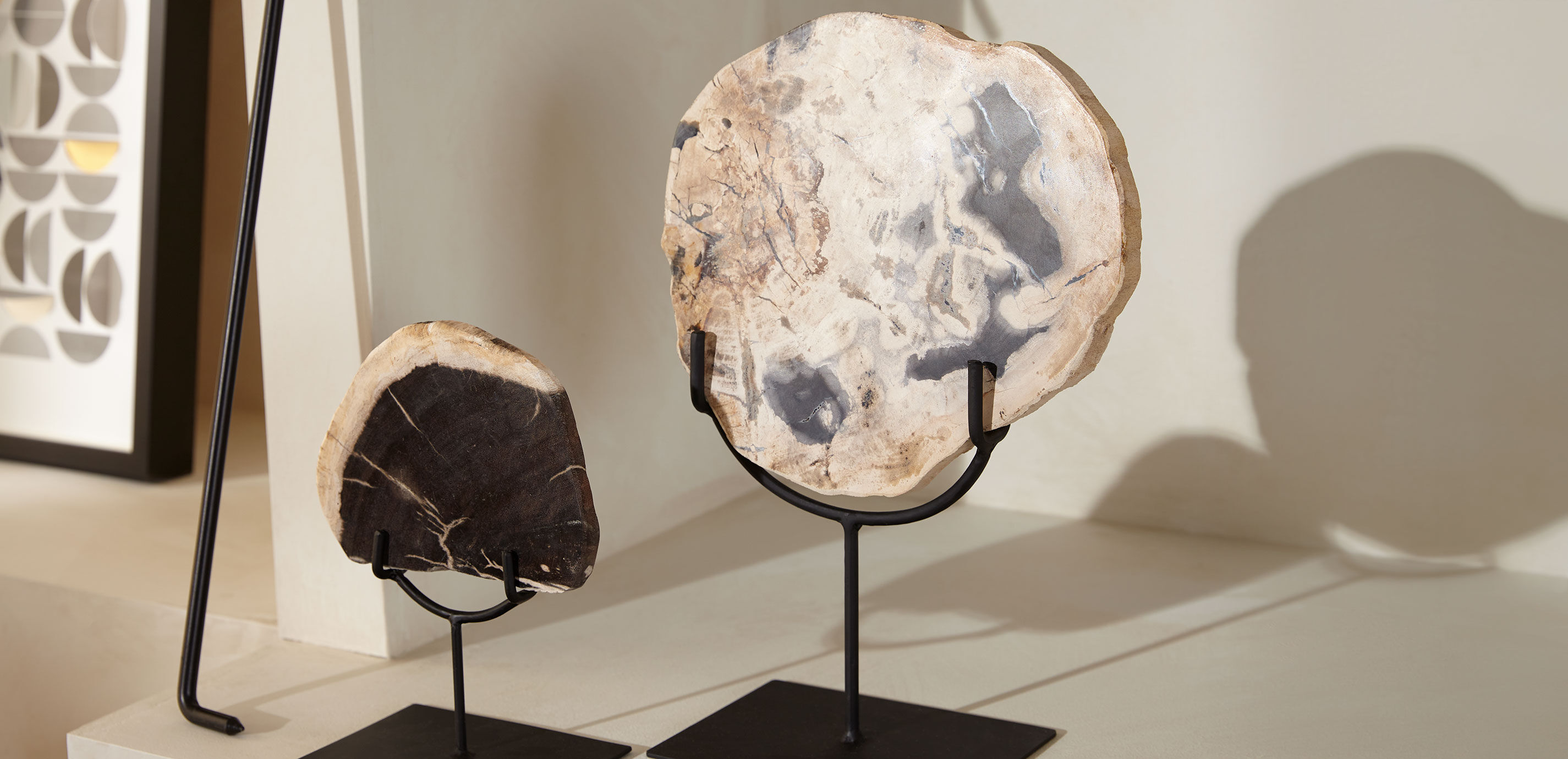 Petrified Wood on Stand_4