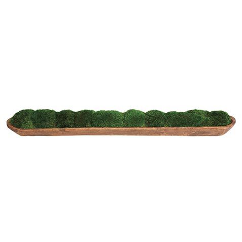 Moss In Linear Container image 443810   GRN