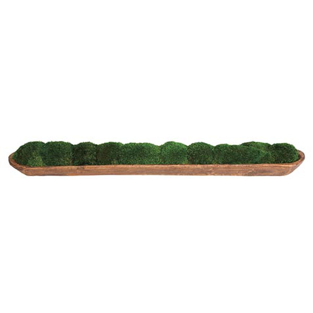 Moss In Linear Container