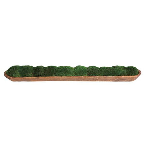 Moss In Linear Container