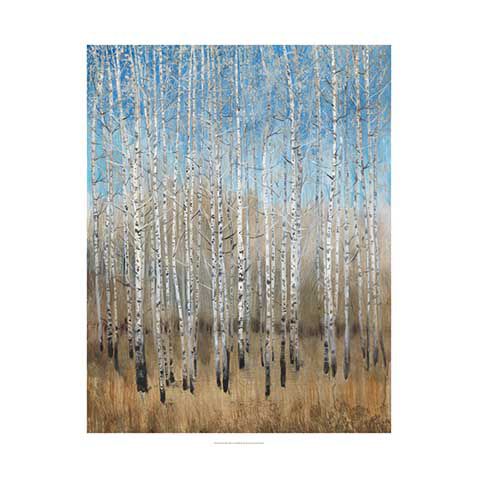 Dusty Blue Birches II image