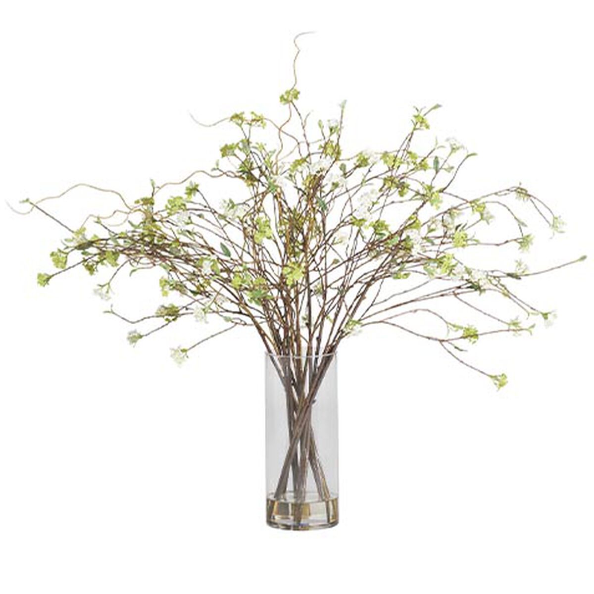 Spirea Branch Arrangement in Tall Vase