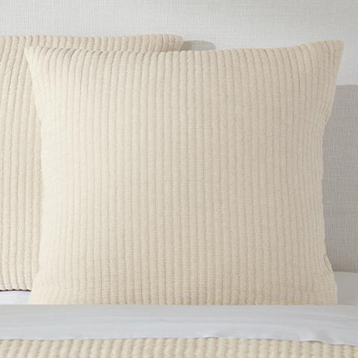 Dash Euro Sham