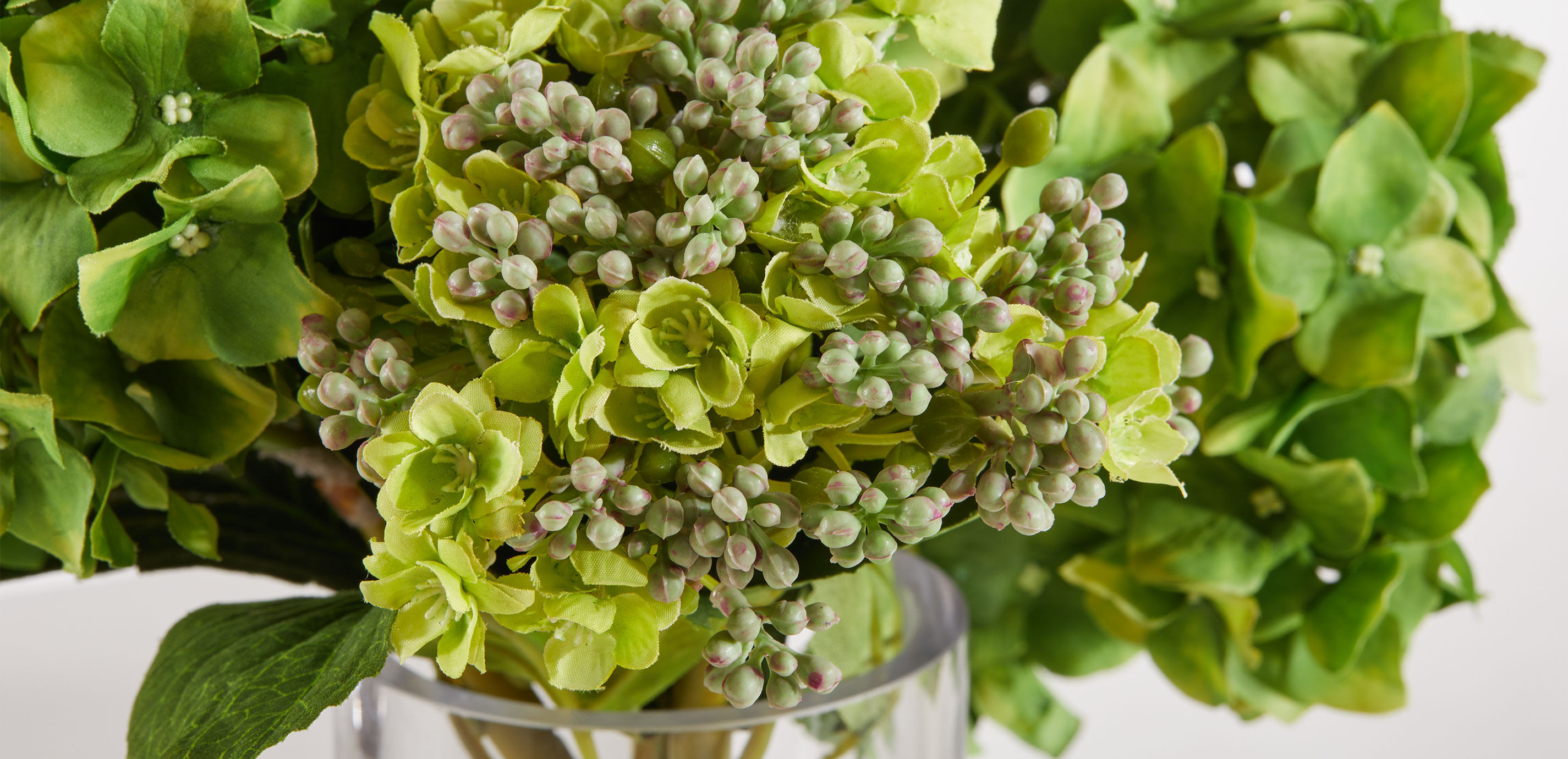 Hydrangea and Buds in Small Glass Vase_5