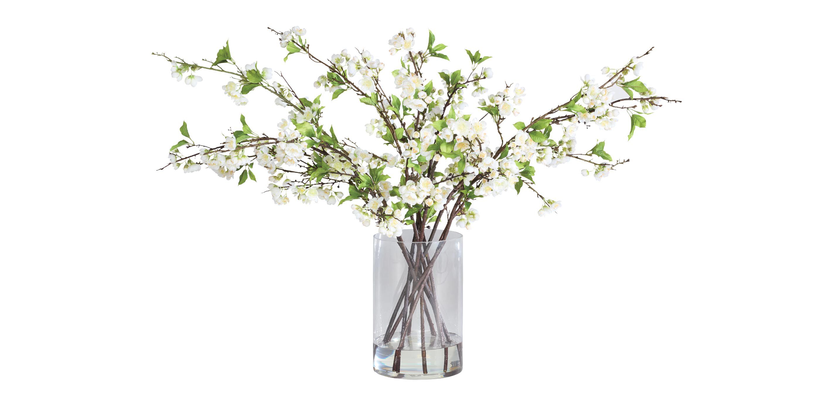 White Plum Blossom Arrangement in Tall Vase_2