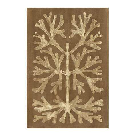 Umber Curiosities I image