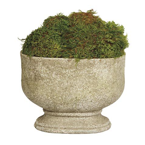 Moss in Oval Stone Planter image