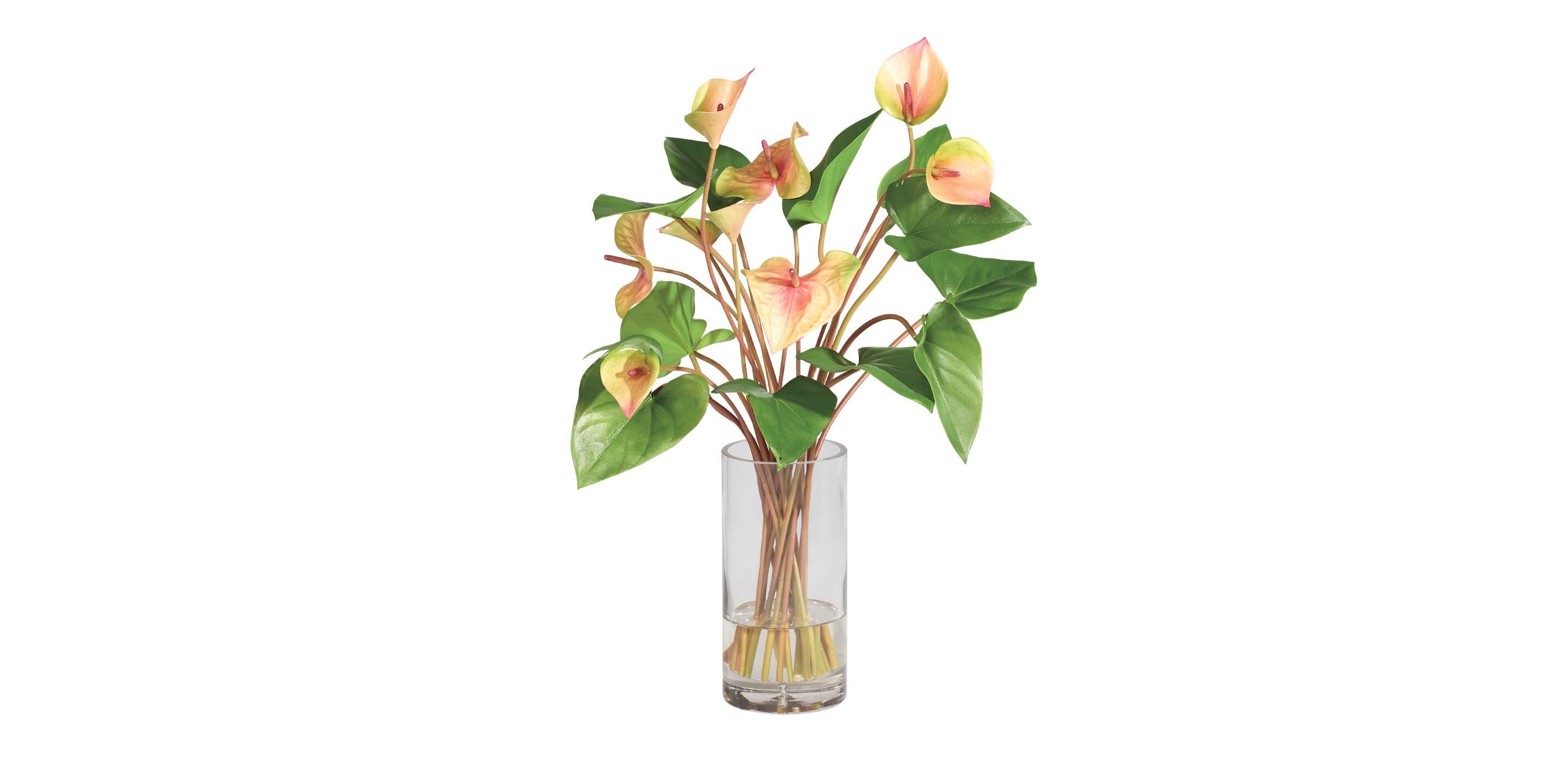 Tropical Anthurium Bouquet in Glass Vase