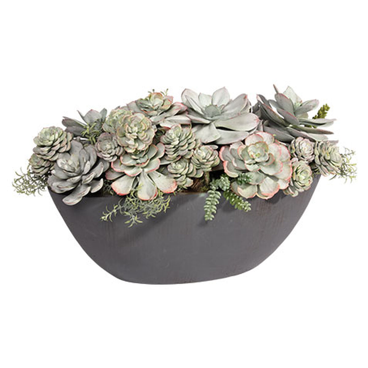 Mixed Succulents in Dark Grey Oval Planter