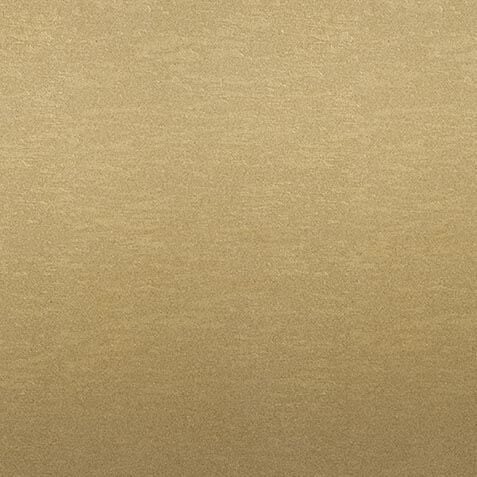 Satin Gold Finish (10G) image 9824NS      10G