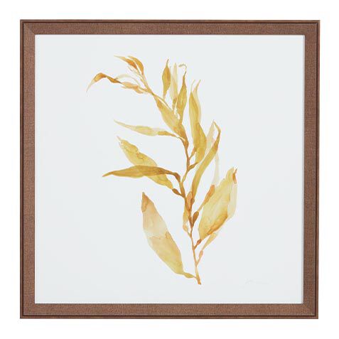 Soft Seaweed image