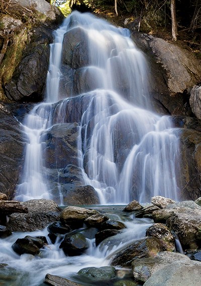 waterfall in the woods