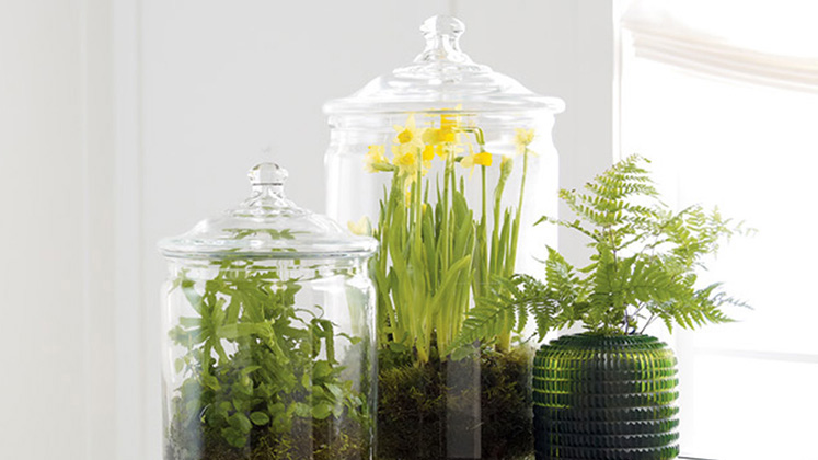 GLASS CONTAINERS
