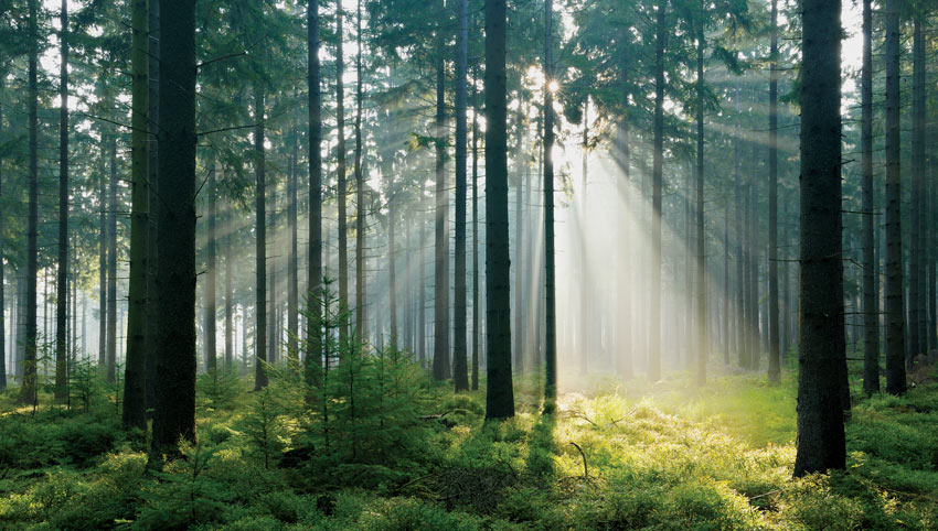 Improving Environmental Impact