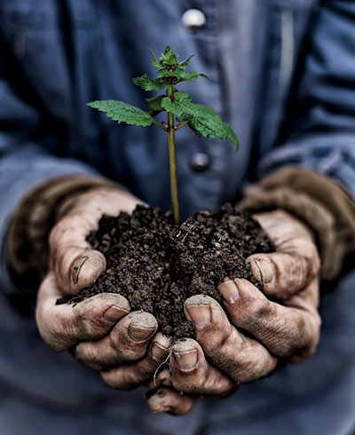 environmental stewardship