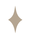 small star icon