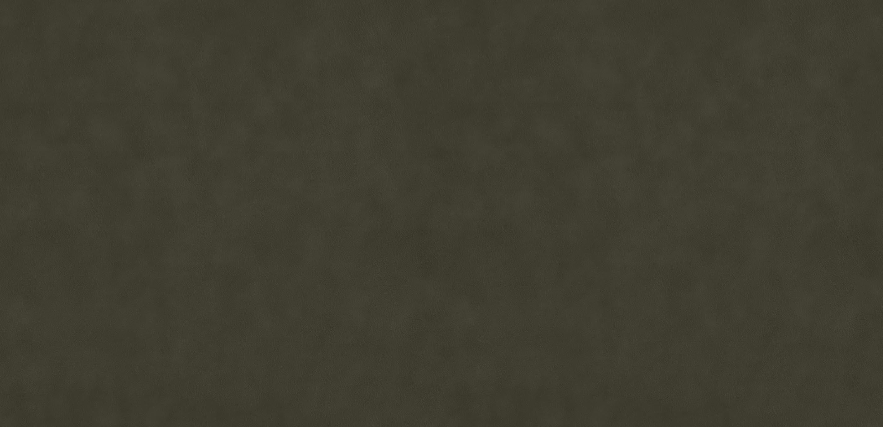 mobile primary image