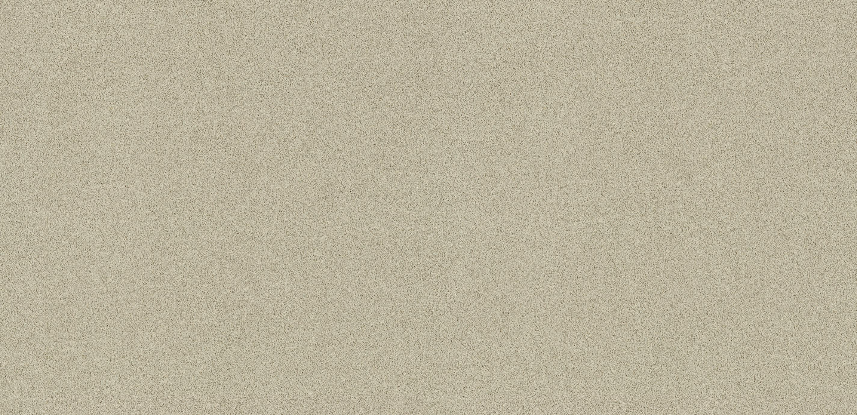 mobile primary image