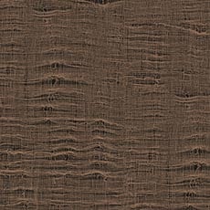 Taupe/Black swatch Gauze Wallpaper