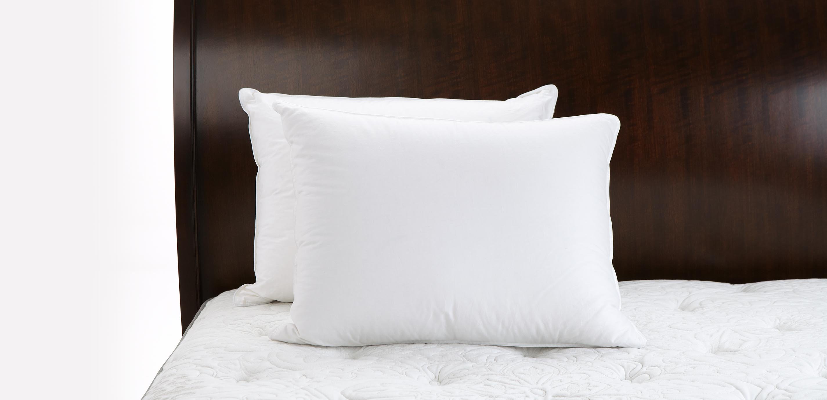 Down Alternative Hypoallergenic Pillow Insert Cotton Cover | 18x18 | 20x20 | 22X22 | Throw Pillow, Size: 20 x 20