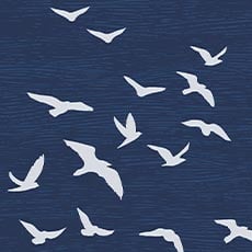 Dark Blue swatch Bird Silhouettes Wallpaper