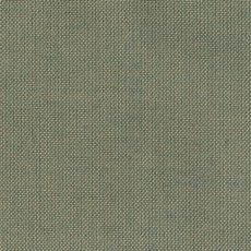 Reale Seaglass (P2521), performance plain Vero Dunes Woven Lounge Chair