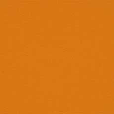 Kanvas Orange (F5662) swatch Kanvas Fabric